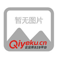 供應(yīng)瓦倫蒂仕休閑時尚男式T恤、男裝T恤、T恤 服裝